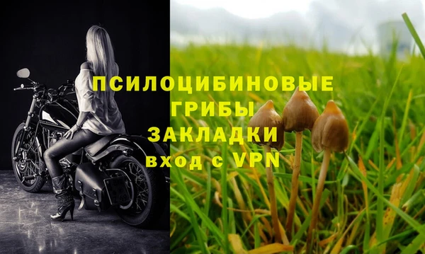 тгк Арсеньев